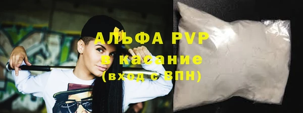 прущие грибы Шадринск