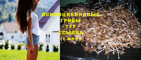 твердый Шали