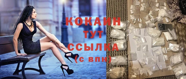 спайс Няндома