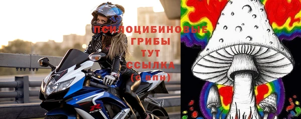 твердый Шали