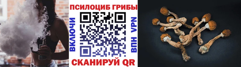 Псилоцибиновые грибы Magic Shrooms  Сафоново 